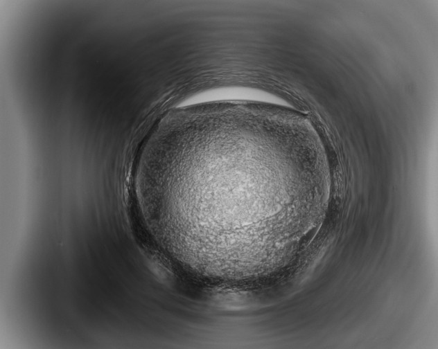 X0000087680648200705111301