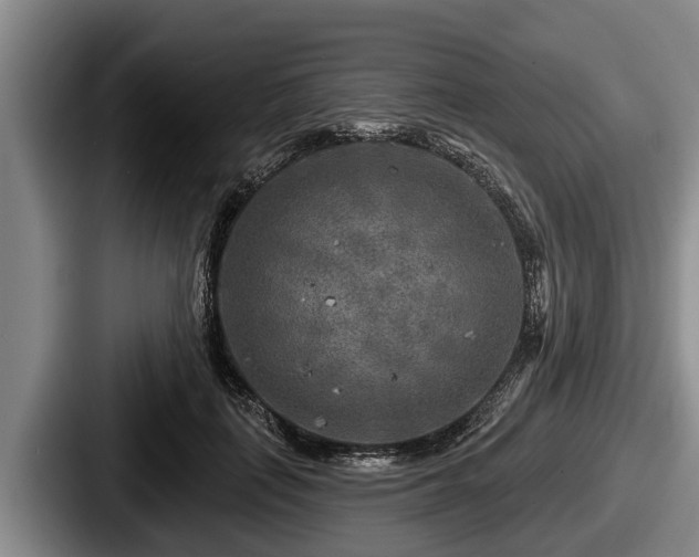 X0000087680651200705111301