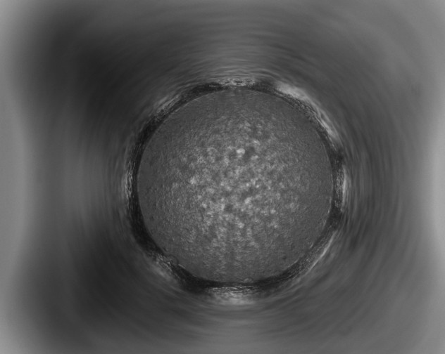 X0000087680652200705111301