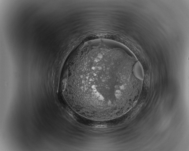 X0000087680653200705111301