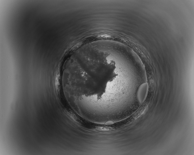 X0000087680654200705111301