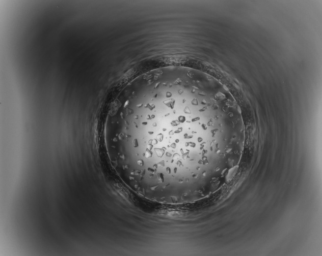 X0000087680655200705111301