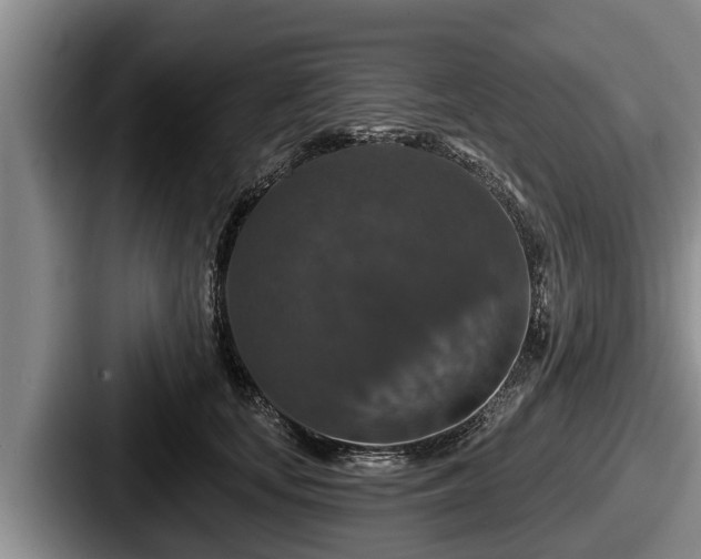 X0000087680659200705111301