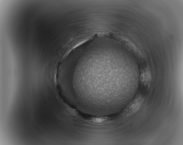 X0000087680662200705111301