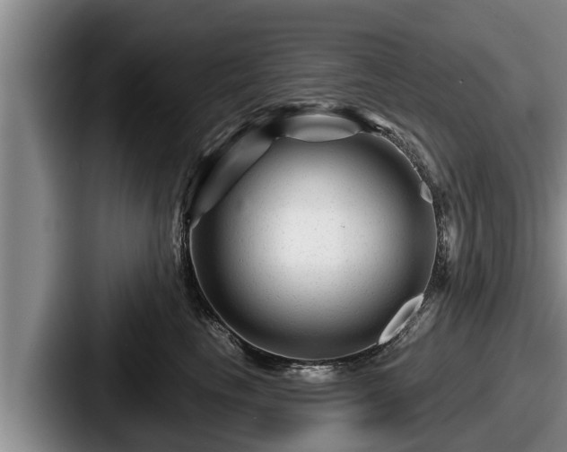 X0000087680665200705111301