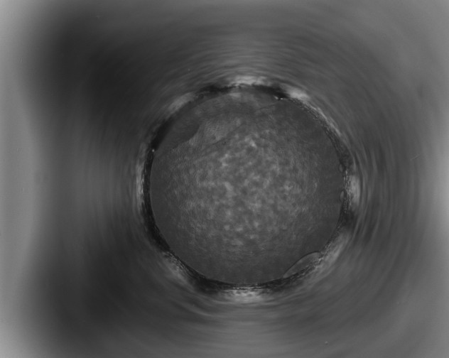 X0000087680668200705111301