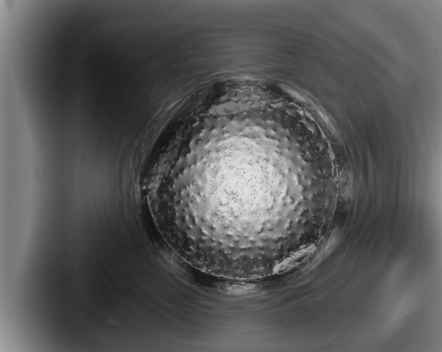 X0000087680669200705111301