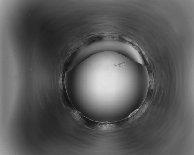 X0000087680670200705111301