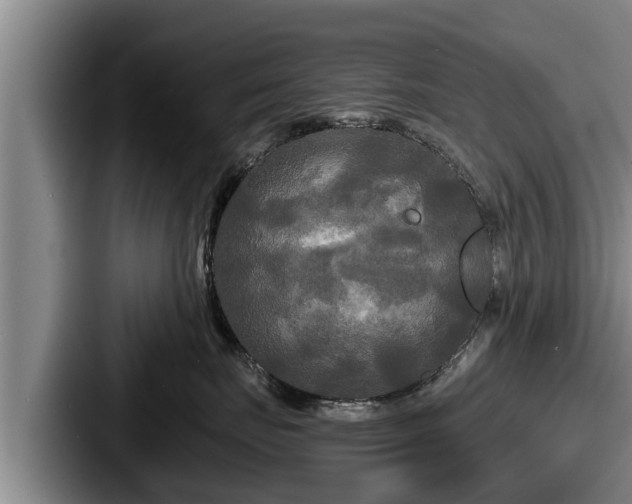 X0000087680671200705111301