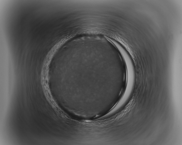 X0000087680673200705111301