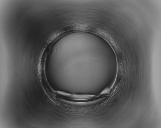 X0000087680674200705111301