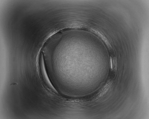 X0000087680675200705111301