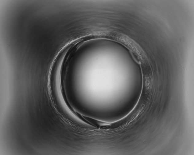 X0000087680676200705111301