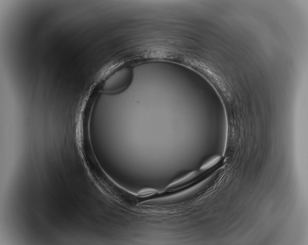 X0000087680678200705111301