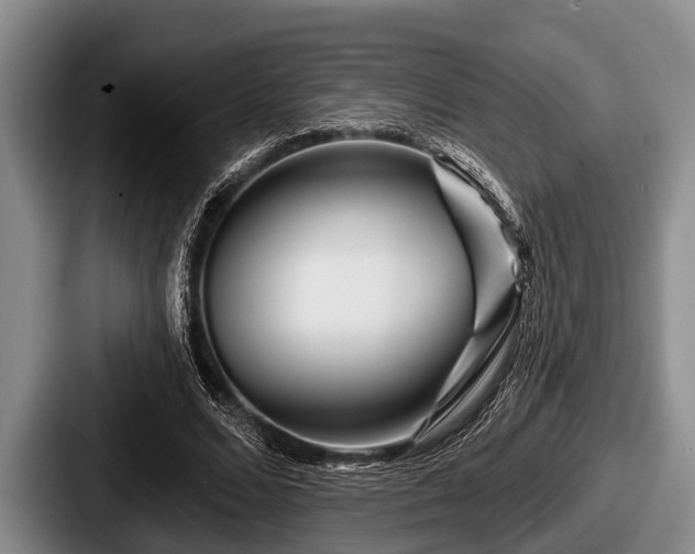 X0000087680680200705111301