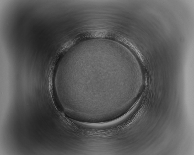 X0000087680681200705111301