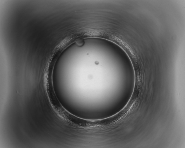 X0000087680682200705111301