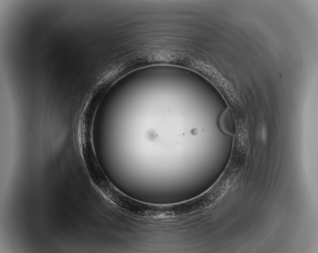 X0000087680683200705111301
