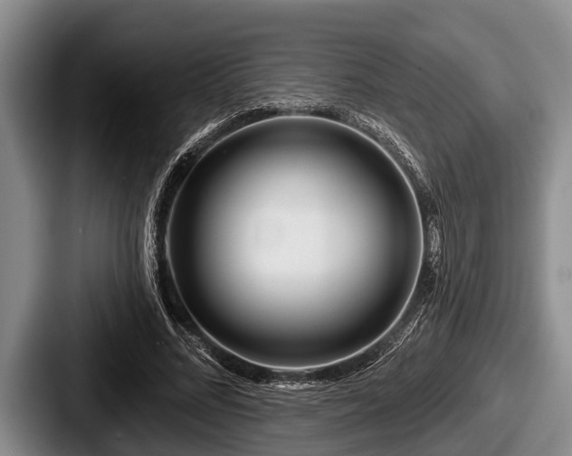 X0000087680684200705111301