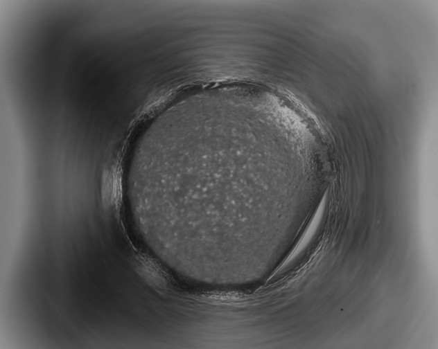 X0000087680685200705111301