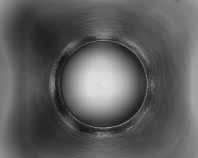 X0000087680686200705111301
