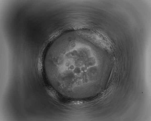 X0000087680687200705111301