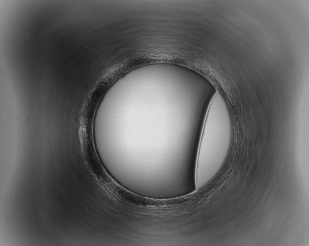 X0000087680688200705111301