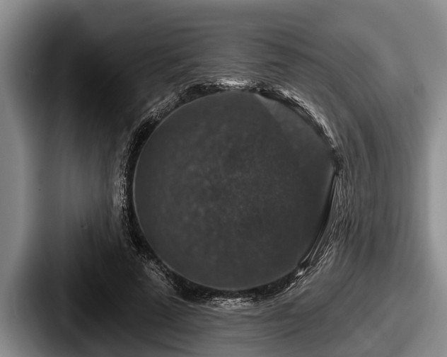 X0000087680689200705111301
