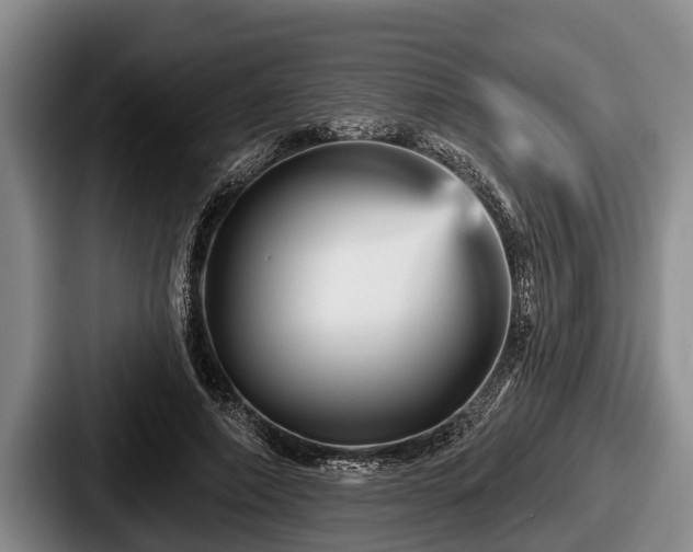 X0000087680690200705111301