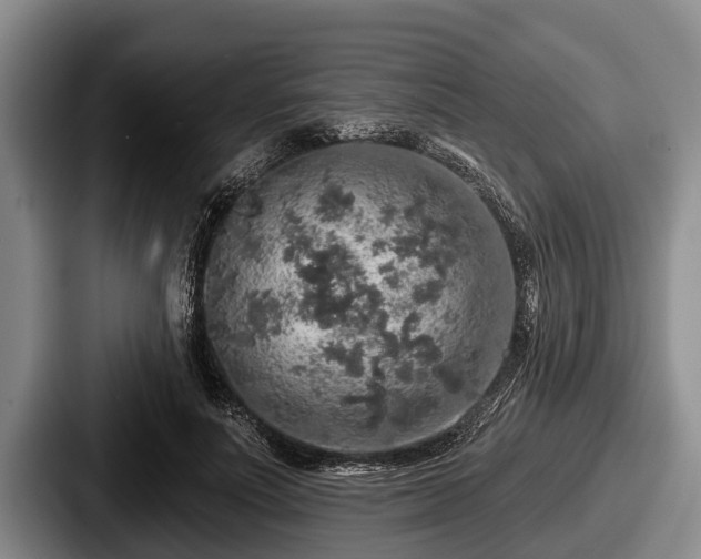 X0000087680691200705111301