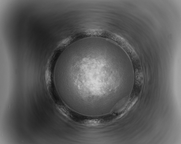 X0000087680692200705111301
