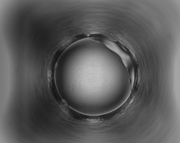 X0000087680693200705111301