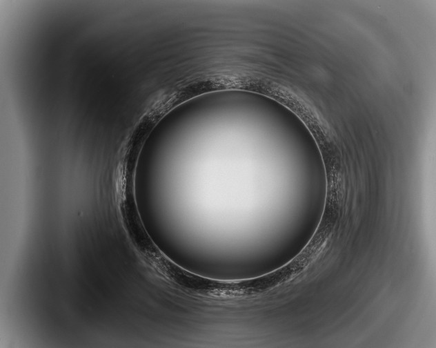 X0000087680694200705111301
