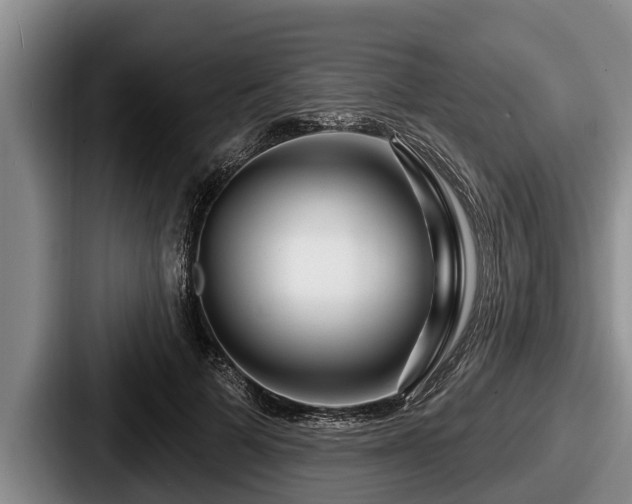 X0000087680697200705111301