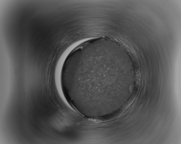 X0000087680699200705111301