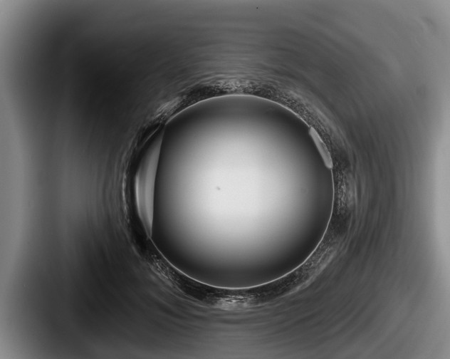 X0000087680700200705111301
