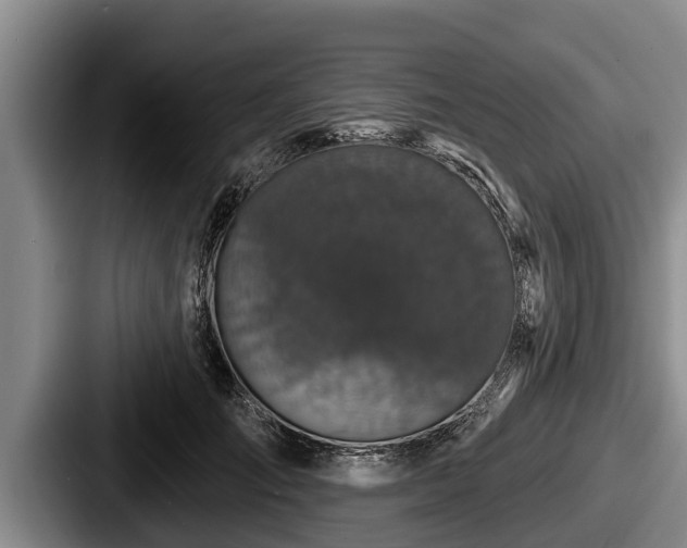X0000087680701200705111301