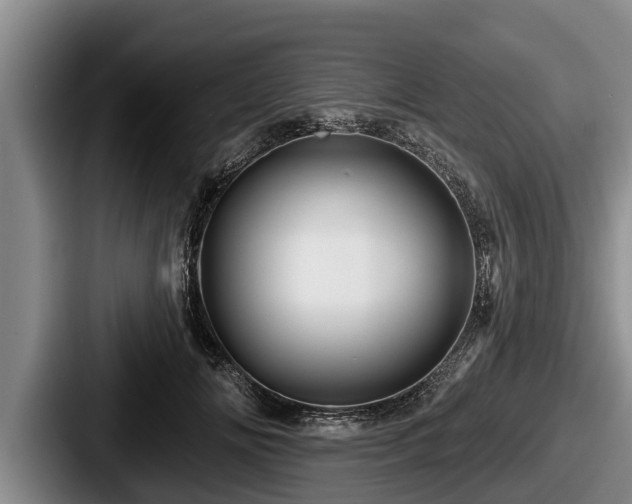 X0000087680702200705111301