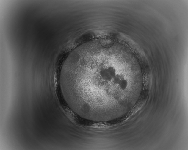 X0000087680703200705111300