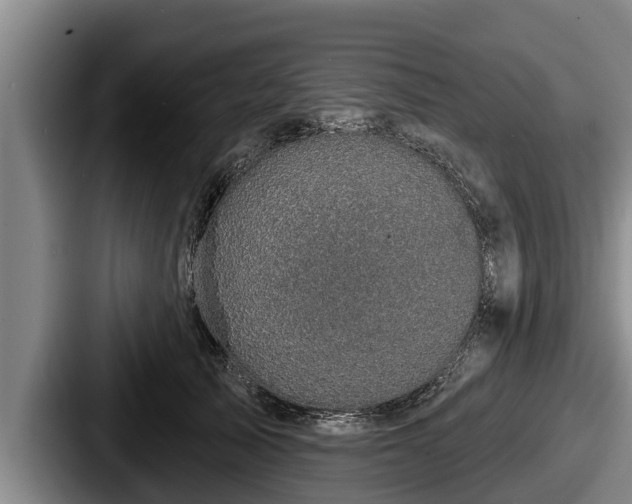 X0000087680705200705111300