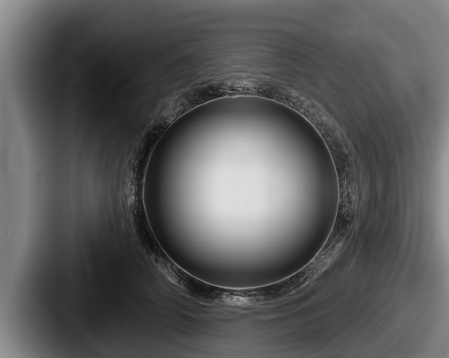 X0000087680706200705111300
