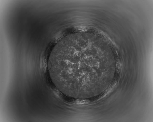 X0000087680707200705111300