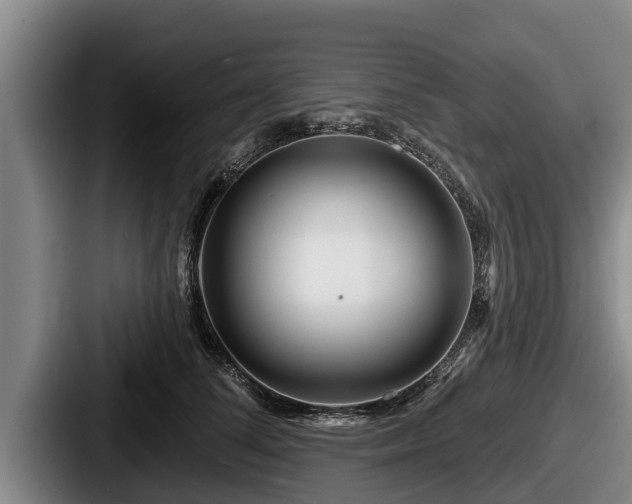 X0000087680708200705111300