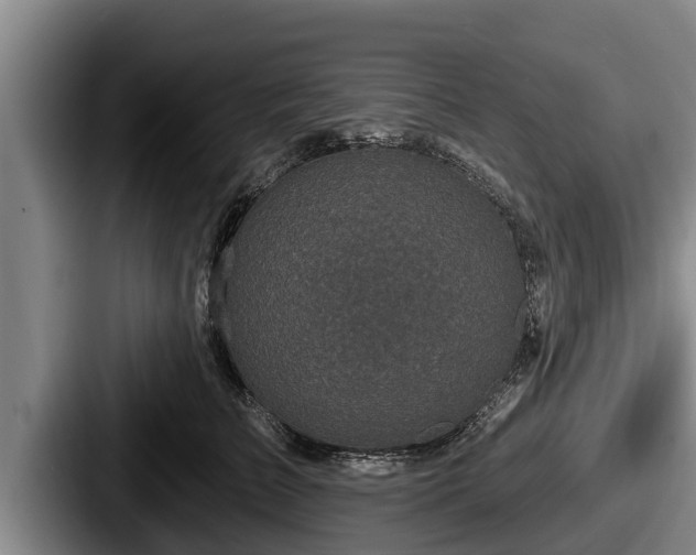 X0000087680709200705111300