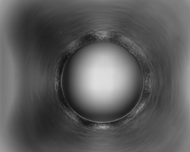 X0000087680710200705111300