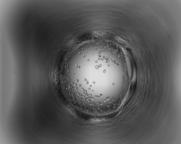 X0000087680712200705111300