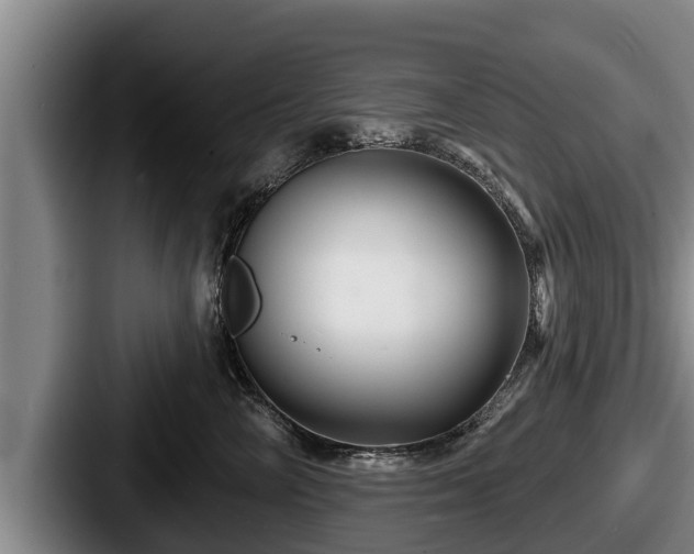 X0000087680714200705111300