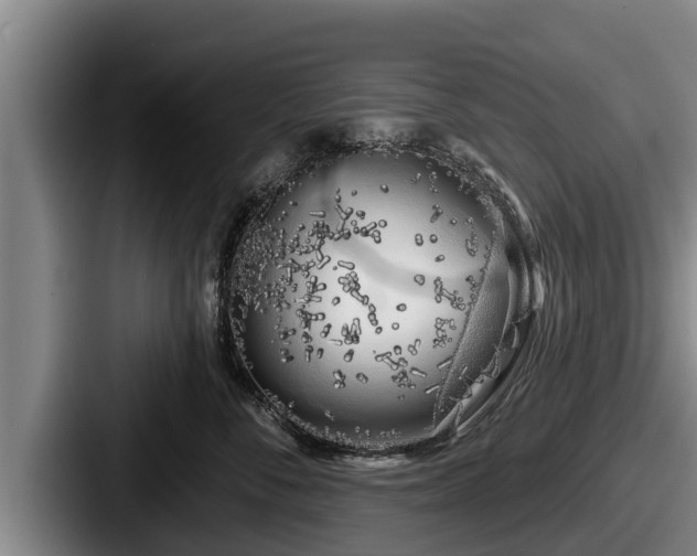 X0000087680716200705111300