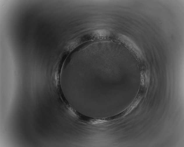 X0000087680718200705111300