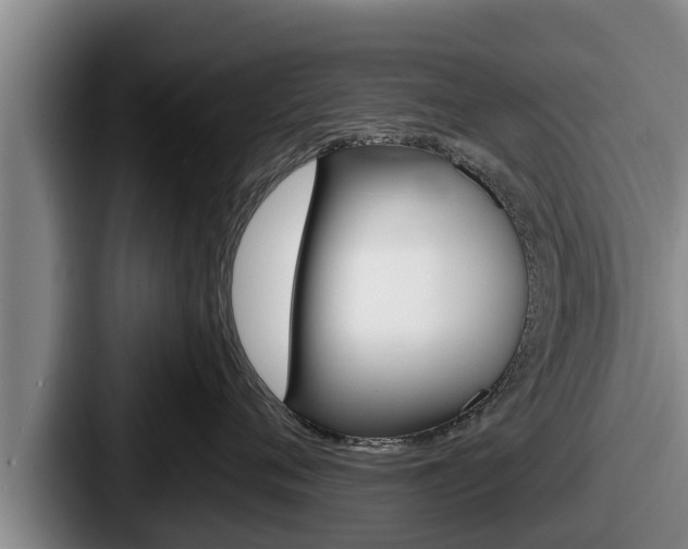 X0000087680720200705111300